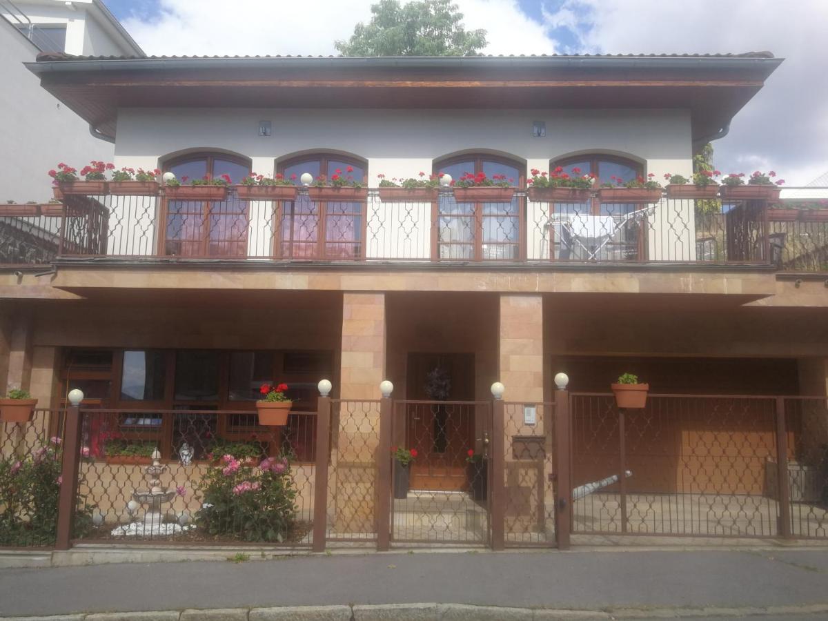 Vila Barrandov Prag Exterior foto